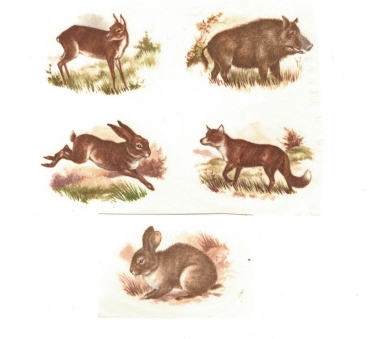 Decals – Waldtiere – 5er-Set – je 50 x 40 mm