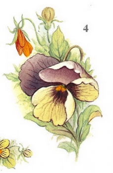 Decal – APRIL-4 – 58 x 32 mm