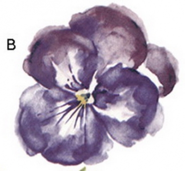 Decal – PANSY – 100 x 95 mm – DISC