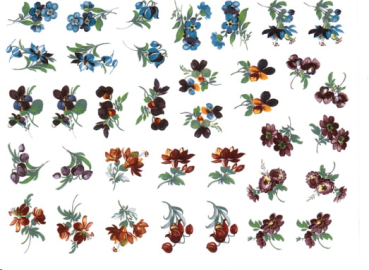 Decals im 36er-Set – MEISSEN FLOWERS –je 25 mm