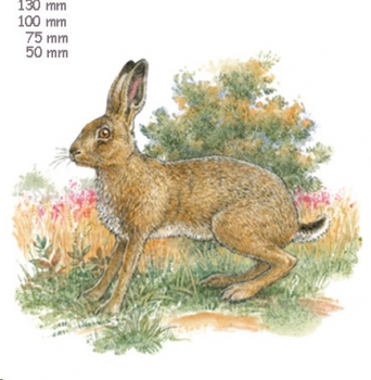 Decals – Hase – Brown Hare – 75 mm