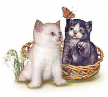 Decal – KITTENS & BUTTERFLY – 50 mm