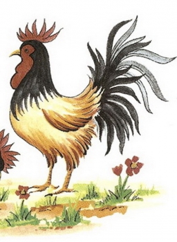 Decal – Cockerel – Hahn – 80 x 75 mm