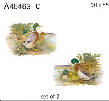 Decal – Entenfamilie im 2er-Set – je 55 x 90 mm