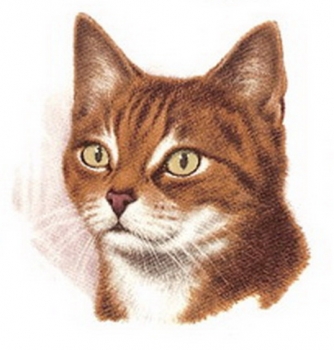 Decals – Katzen – 5er-Set –je 70 mm