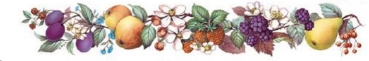 Decals – Obst – Borte – 20 x 135 mm