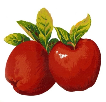 Decals – Äpfel – DELICIOUS – 35 x 36 mm