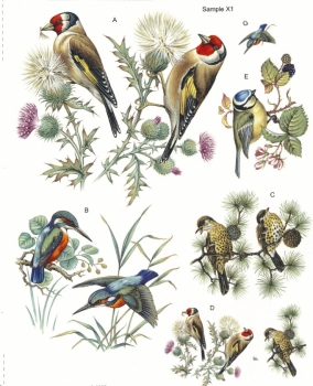 Decals – Birds – Vögel – 7er-Set – bis 13 cm