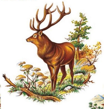 Decal – Hirsch – Stag – 80 mm