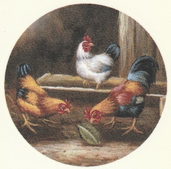 Decal – Hühner – 50 mm Ø