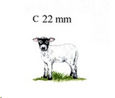 Decal – Schaf – Lamm – Schwarzkopf – 22 x 25 mm