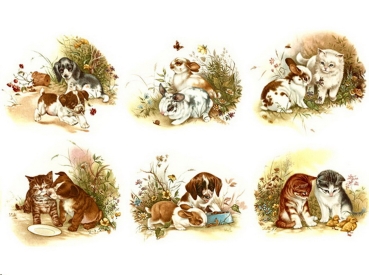 Decals – Tierfreundschaften – Pets - im 6er-Satz – je 50 mm