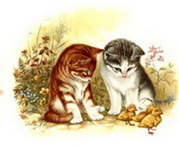 Decal – Katzenpaar und Küken – Pets – 105 mm