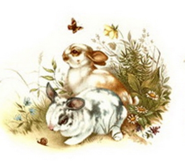 Decal – Kaninchen – Pets – 50 mm