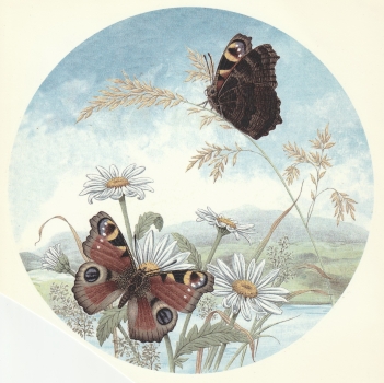 Decal – Schmetterlinge – Butterflies – 198 mm Ø