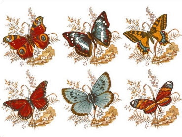Decals – Schmetterlings-Szenen – 6er-Set – je 70 mm