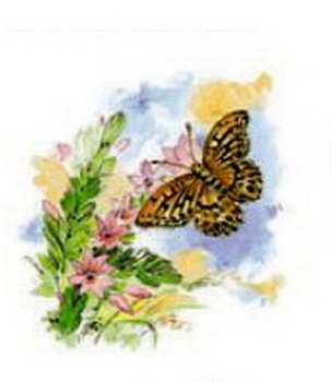 Decal – Schmetterling mit Blumen – 95 x 95 mm