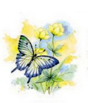 Decal – Schmetterling mit Blumen – 95 x 95 mm
