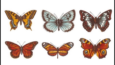 Decals – Schmetterlinge – 6er-Set – je 75 x 55 mm