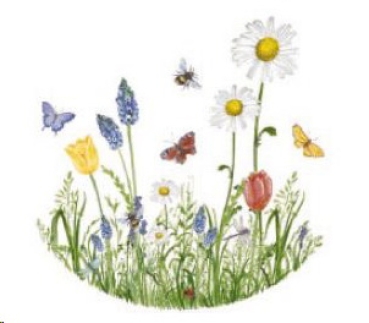 Decal – Nature Garden – 120 mm