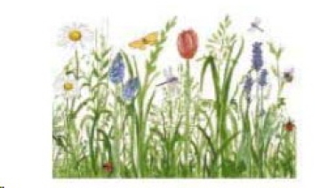Decal – Nature Garden – 90 x 60 mm