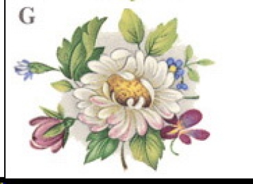 Decal – Blumen – Cottage Garden – 46 x 40 mm