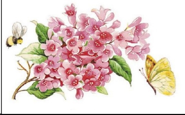 Decal – Blumen – Pink Flower – 37 x 25 mm