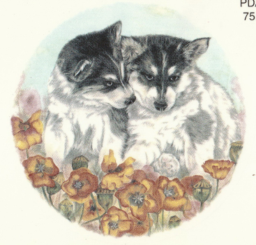 Keramik-Tasse  - Becher mit Wunschname – Motiv: 1 x Hunde – Welpen – Huskies – DISC