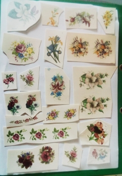 Decals – Blumen – 26er-Set – bis 6 cm