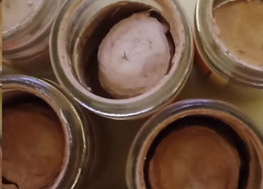 Preview: FA-76 – Cinnamon  – Fired Antique von MAYCO – 30 ml – Kegel 06 = 1.015 °C – DISC