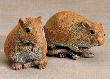 Wüsten-Rennmäuse im 2er-Set – bis 10,5 cm lang – Schrühware