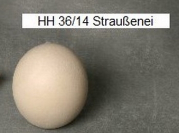 Gießform – neu – Straußenei – 14 cm hoch – Made in Germany