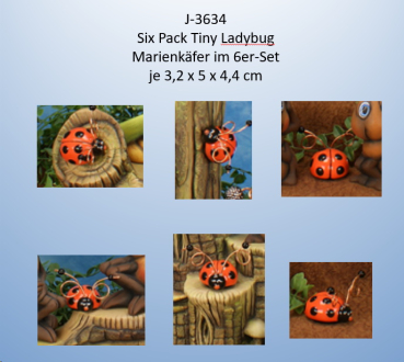 ClayMagic-Gießform - neu – Six Pack Ladybug – Marienkäfer im 6er-Set – je 3,2 x 5 x 4,4 cm - USA