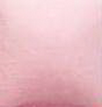 NT-065 – Tender Pink  – Kaltmalfarbe von DUNCAN – 29,5 ml – Altbestand