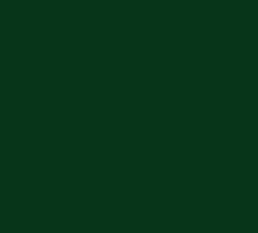 OS-545 – Green Shadow – Kaltmalfarbe von DUNCAN – 29,5 ml – Altbestand