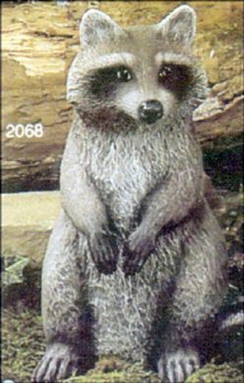 Waschbär – sitzend – 35 cm hoch – Schrühware