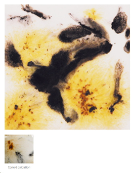 S-2726 – Cheetah – MAYCO Jungle Gems ® – Kristallglasur – NONTOXIC – 1.000 bis 1.045 °C - Cone 06 bis Cone 05 – 16oz = 472 ml