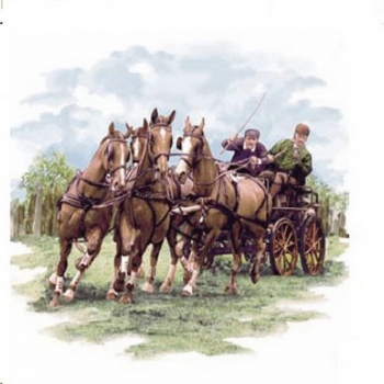 Decal – Pferdewagen – 75 mm