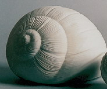 Preview: Schneckenhaus – Nagetierhöhle – 28 x 21,5 x 20 cm - Schrühware – Sonderangebot – Öffnung nur unten Preview: Schneckenhaus – Nagetierhöhle – 28 x 21,5 x 20 cm - Schrühware – Sonderangebot – Öffnung nur unten
