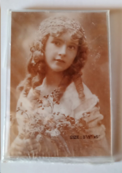Fotohalter aus Kunststoff – 9 x 12,7 cm – Foto wird eingeschoben - DISC