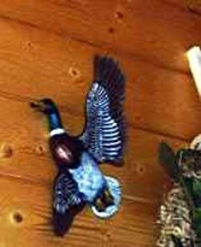 Wildente für die Wand – klein – 25 cm – Schrühware