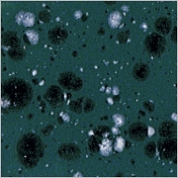 Efeu - 200 ml - von BOTZ