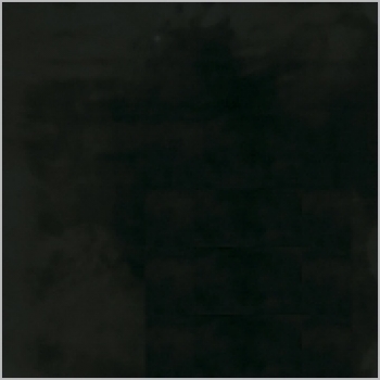 Schwarz - 800 ml - von BOTZ