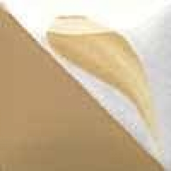 CN-311 - Light Ginger - 59 ml - Concepts - Unterglasur