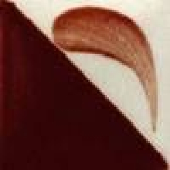 CN-508 - Chutney Spice - 59 ml - Concepts - Unterglasur
