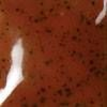 CN-524 - Briarwood Sprinkles -59 ml - Concepts - Unterglasur