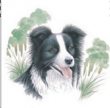 Keramik-Tasse - Becher mit Wunschname – Motiv: 1 x Hund – Border Collie