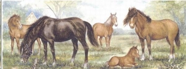 Decal - HORSE & FOAL – MUG – 210x80mm