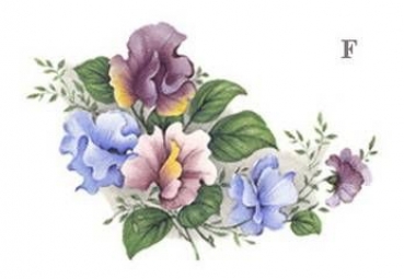 Decal - SWEET PEA 116x77MM
