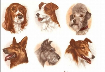 Decal - 6 verschiedene Hunde - je 100 mm